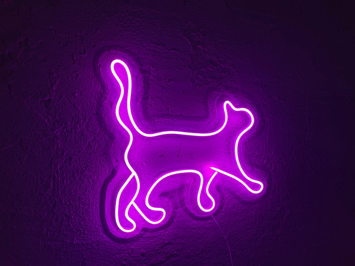Neon Cat Silhouette Light