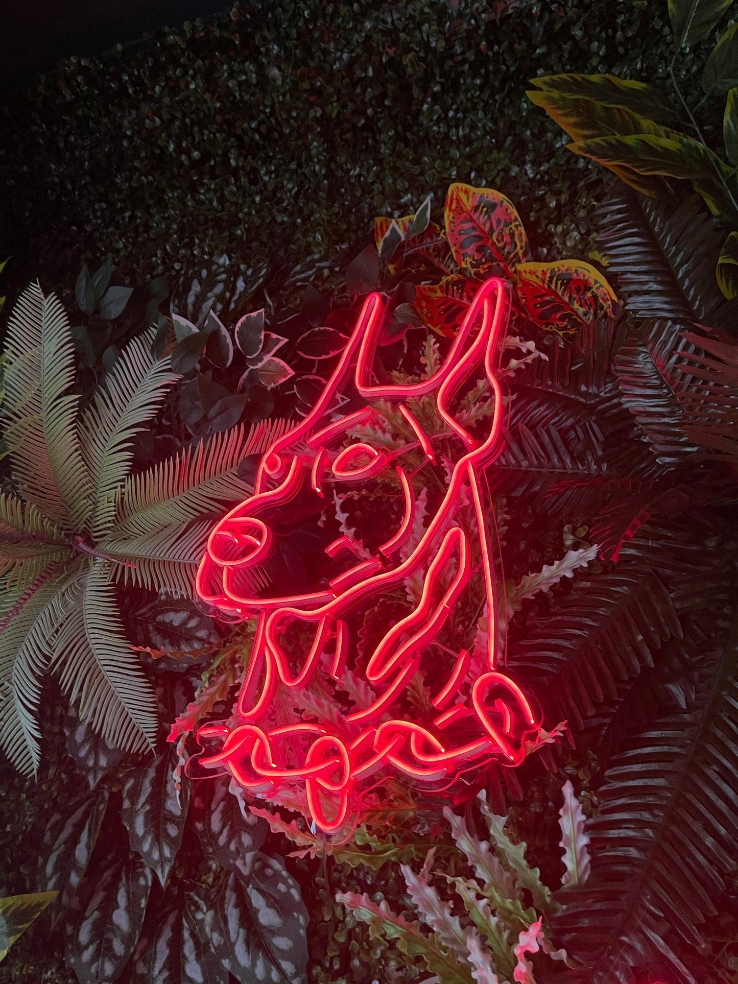 Dog Neon Sign