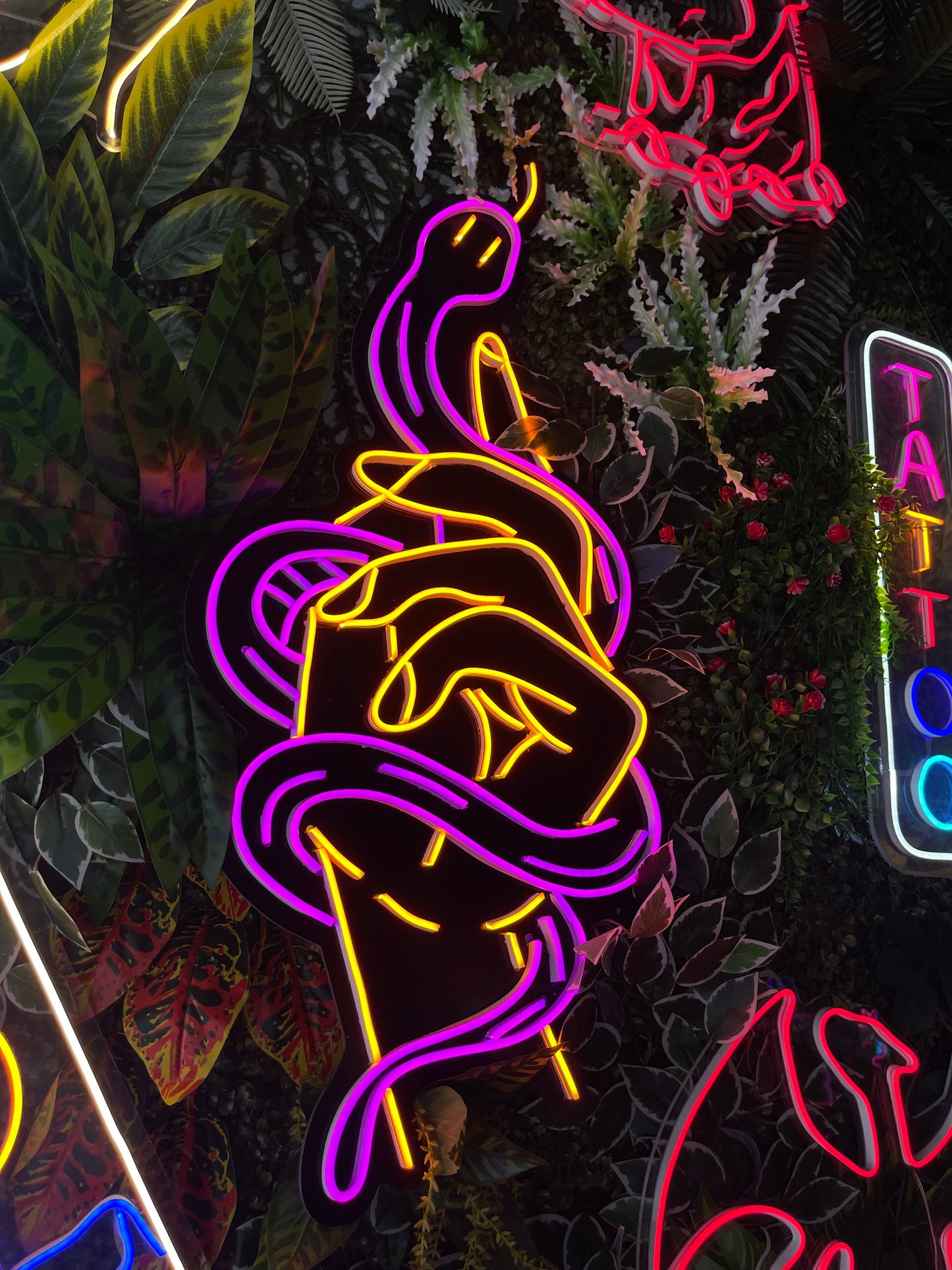 Hand With Snake Neon Sign